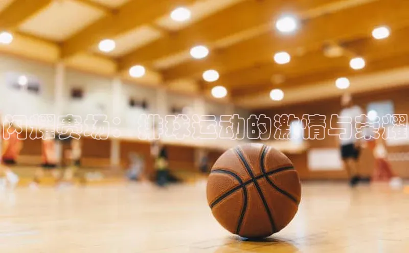 球速体育welcome登录观星盘闪耀赛场：排球运动的激情与荣耀