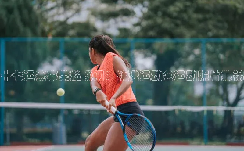 球速体育官网百度网盘