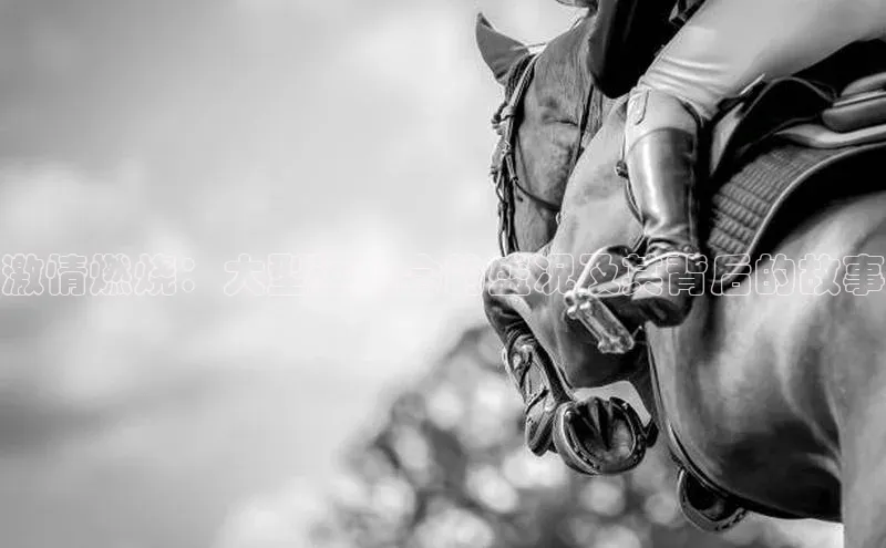 球速体育app下载官方百度游戏激情燃烧：大型运动会的盛况及其背后的故事