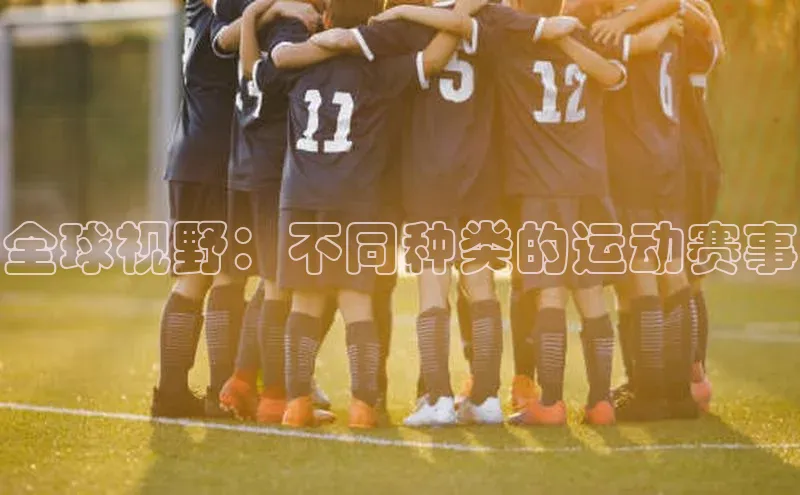 全球视野：不同种类的运动赛事