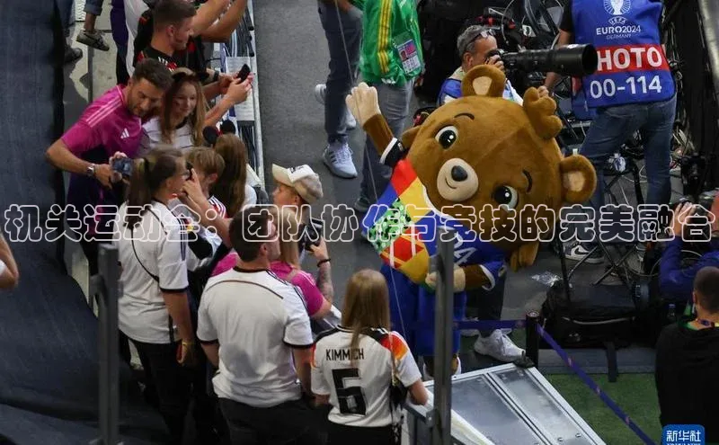 机关运动会：团队协作与竞技的完美融合