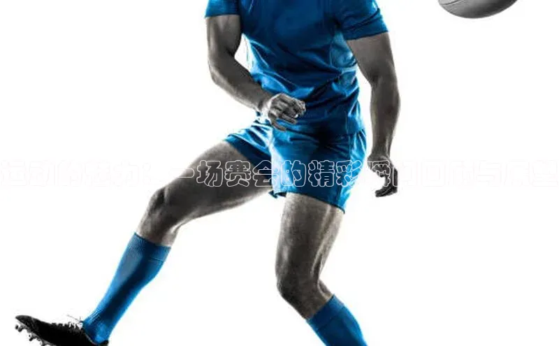 运动的魅力：一场赛会的精彩瞬间回顾与展望