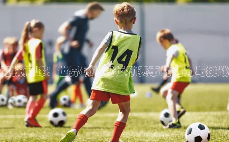 竞技巅峰：世界最顶尖运动赛事的魅力与挑战