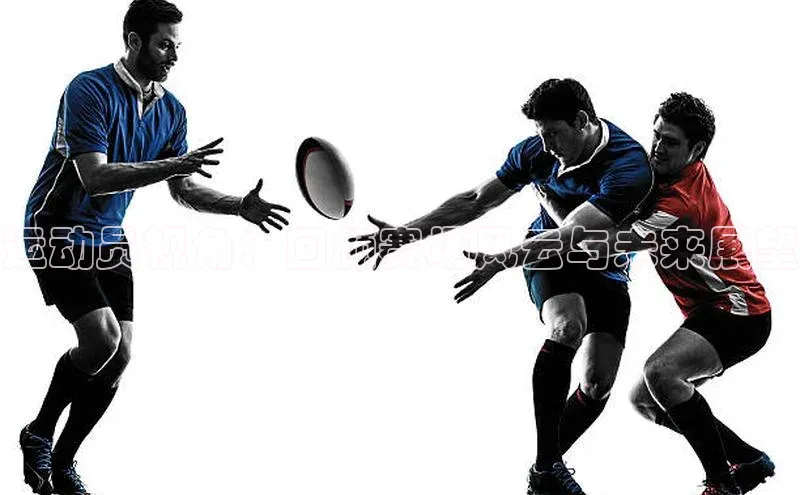 运动员视角：回顾赛场风云与未来展望