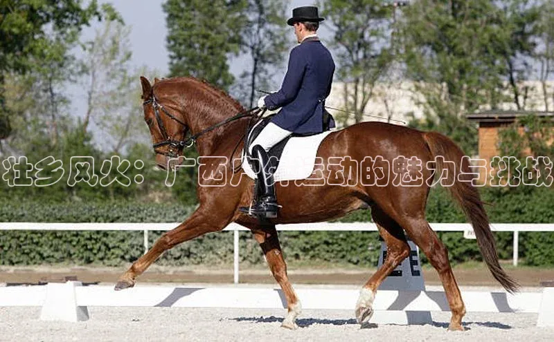 壮乡风火：广西户外运动的魅力与挑战