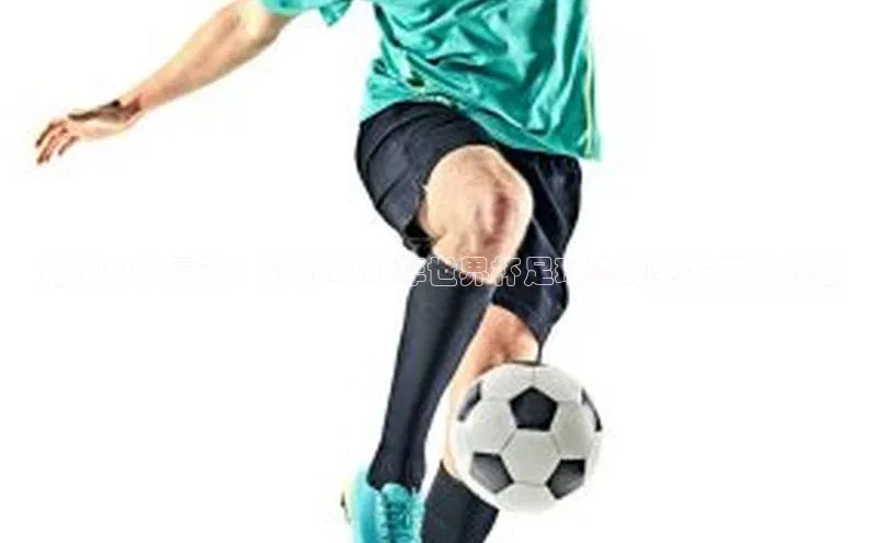 危机中的复苏：分析2023年世界杯足球赛的突发事件处理