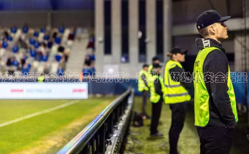 宠物运动会的筹备与执行：规则、场地和安全考量