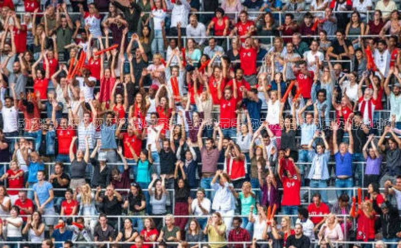 运动赛事直播：现场激情与屏幕上的快节奏-你无法错过的真实比赛时刻