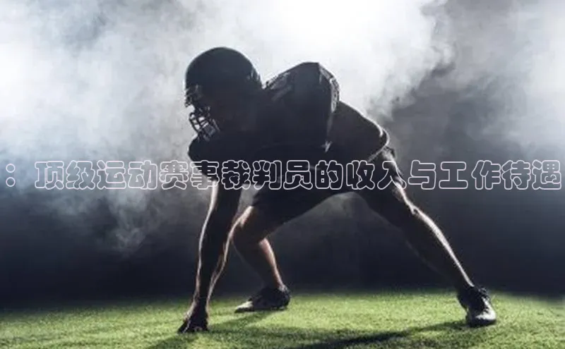 ：顶级运动赛事裁判员的收入与工作待遇