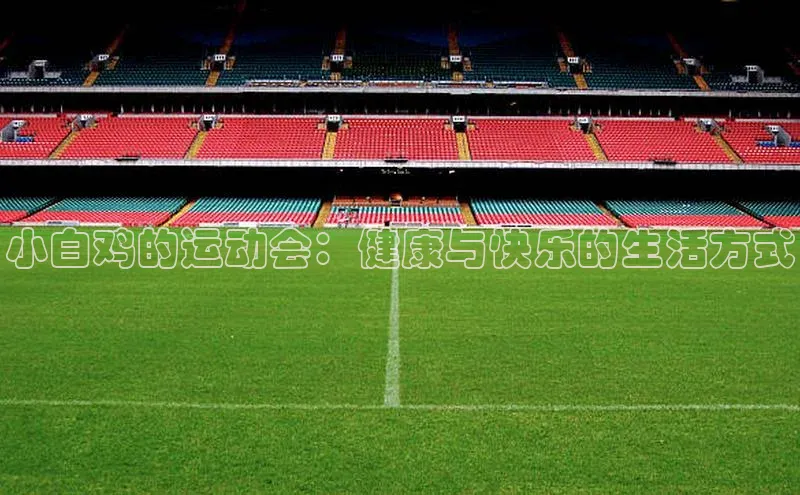 小白鸡的运动会：健康与快乐的生活方式