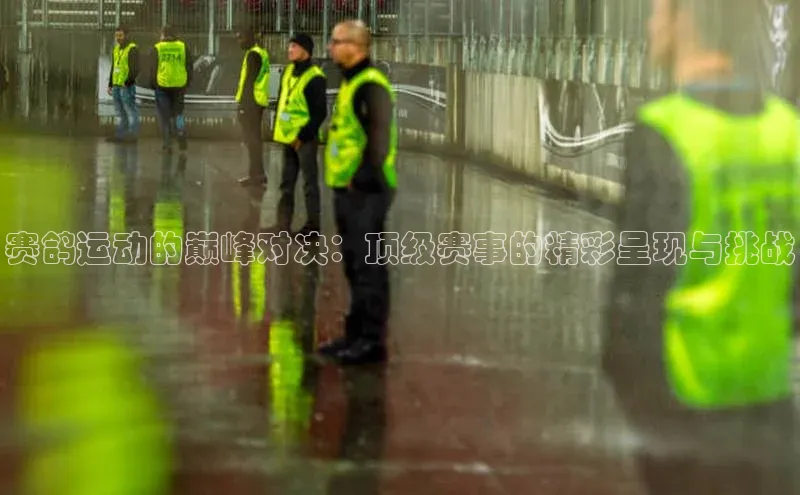 赛鸽运动的巅峰对决：顶级赛事的精彩呈现与挑战