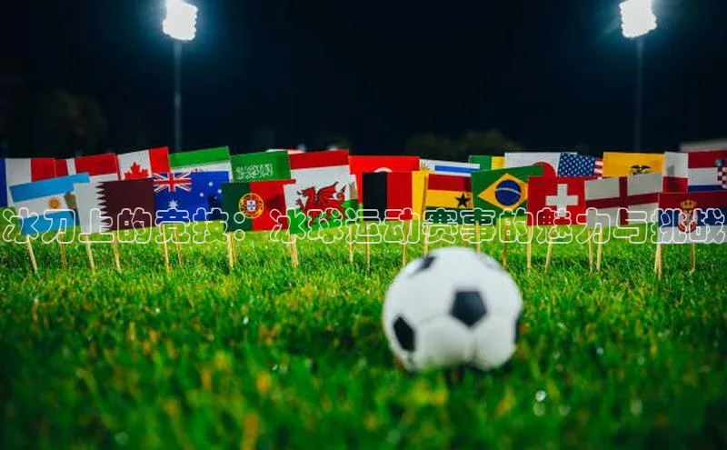 冰刀上的竞技：冰球运动赛事的魅力与挑战