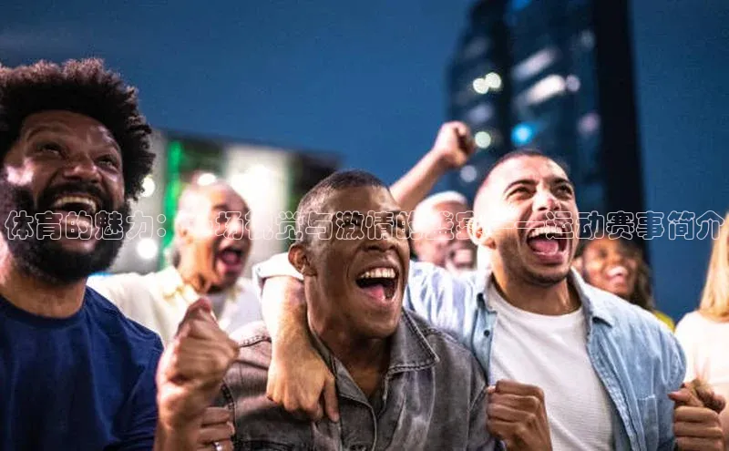 体育的魅力：一场视觉与激情的盛宴——运动赛事简介