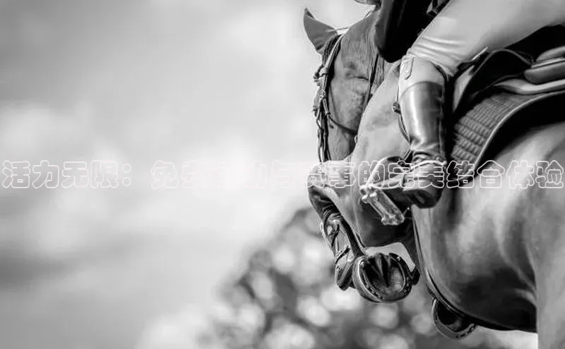 速球体育官方入口地址