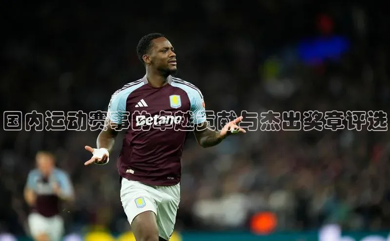 国内运动赛事的卓越贡献与杰出奖章评选