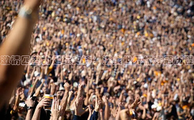 激情四溢的足坛史诗：深度世界杯夺冠历程